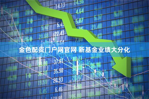 金色配资门户网官网 新基金业绩大分化