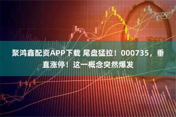 聚鸿鑫配资APP下载 尾盘猛拉！000735，垂直涨停！这一概念突然爆发