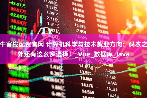 牛客栈配资官网 计算机科学与技术就业方向：码农之外还有这么多选择！_Vue_数据库_Java